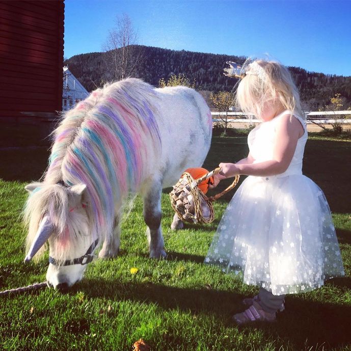 real my little pony enhjørning ponni eventyr