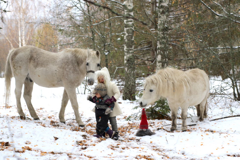hvit hest ponni julekort 