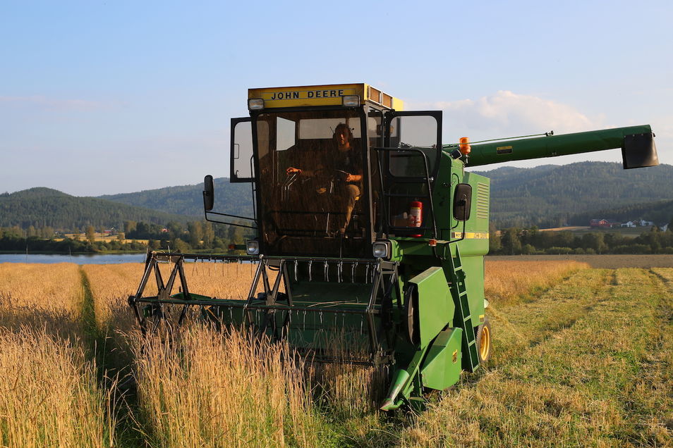 tresking av økologisk spelt biodynamisk regenerativt 