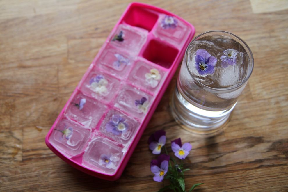 isbiter med blomster