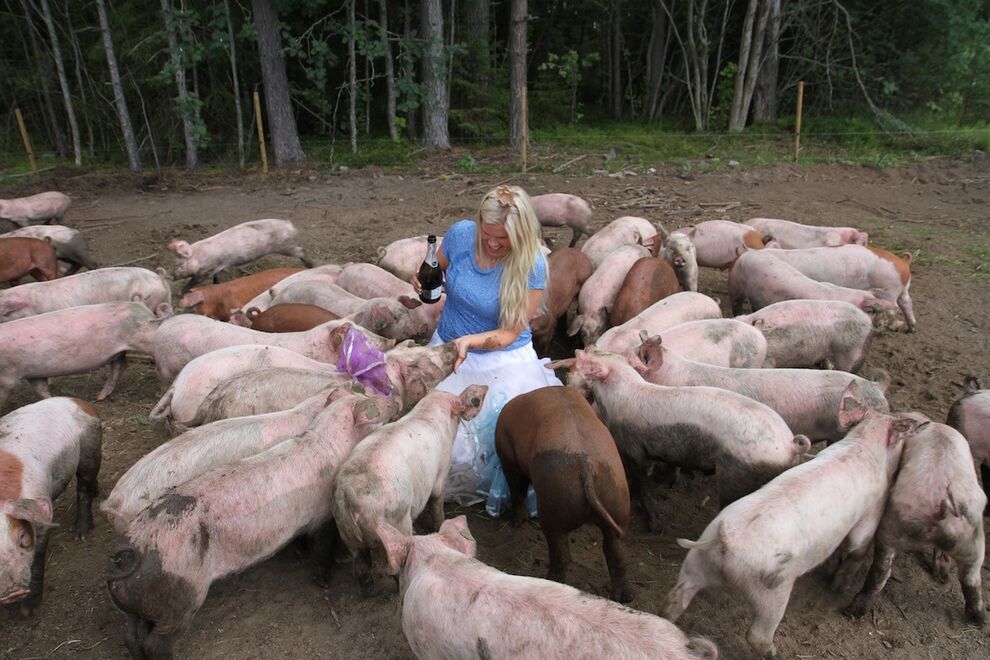HappyPig skjørt bursdag