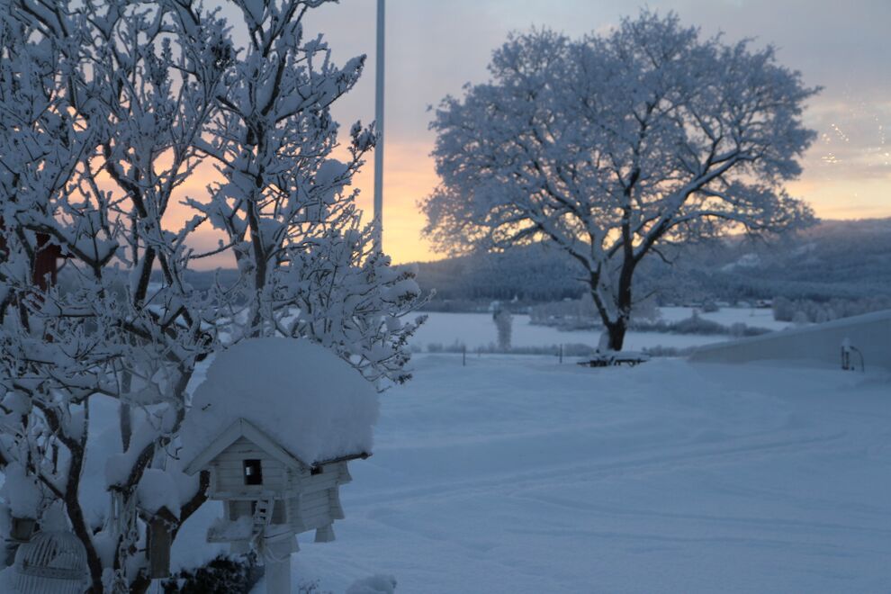 vinter 