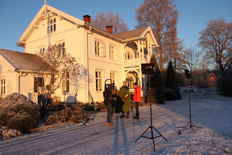 Eilev Bjerkerud juletre