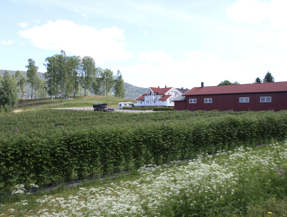sveitserstil hus krødsherad