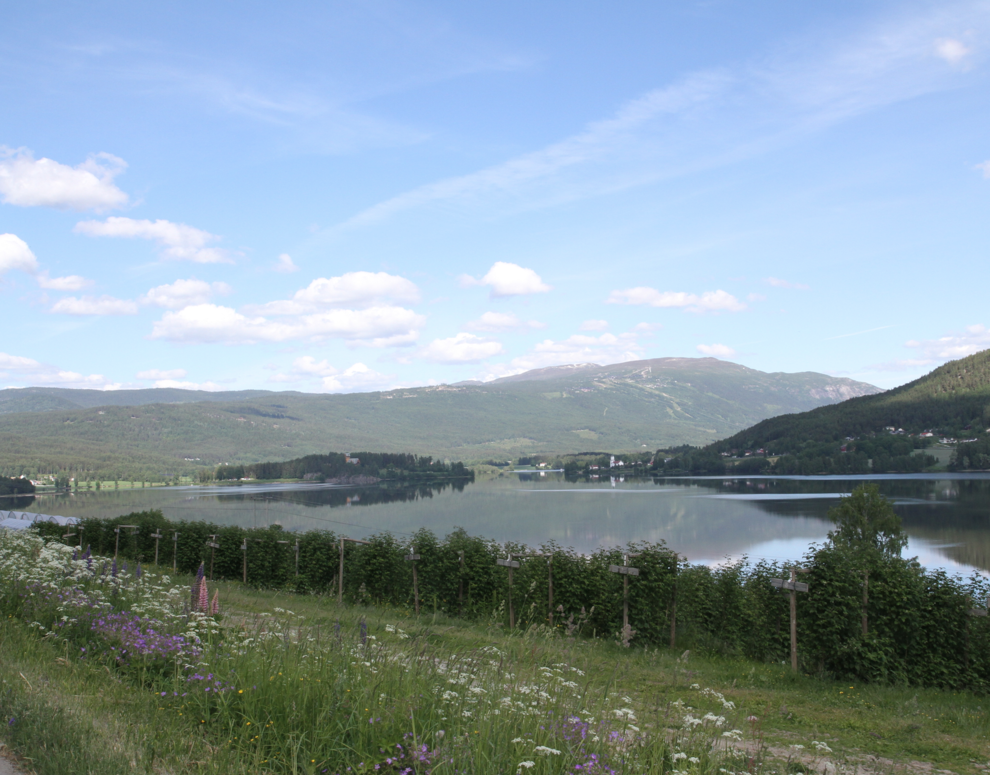 bringebær utsikt norefjell