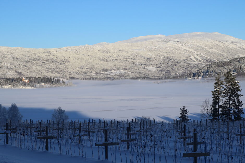 norefjell krødsherad vinter
