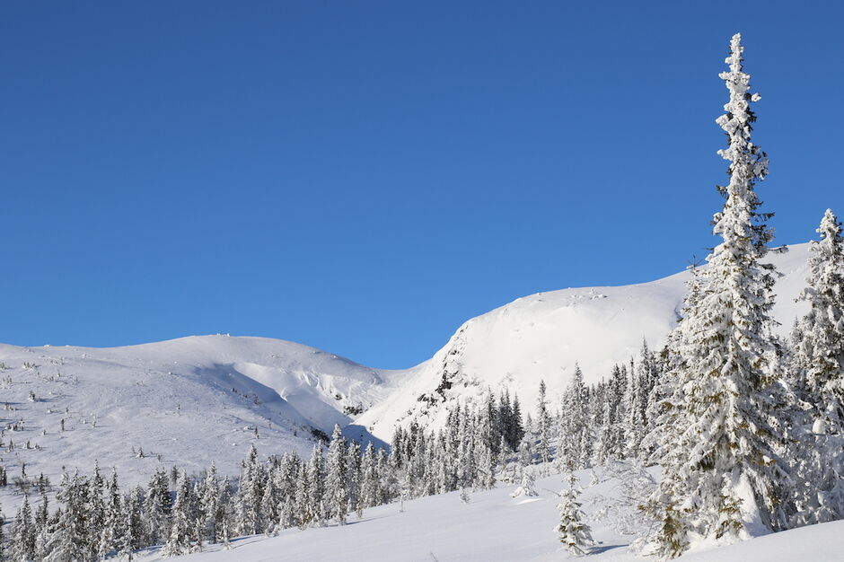 norefjell leppejuv vinter