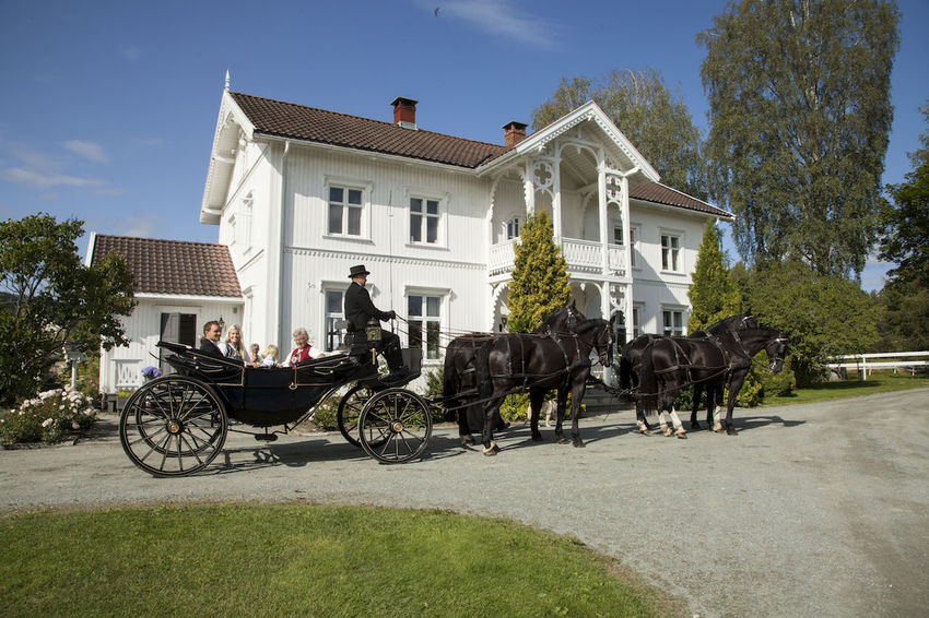 hest og vogn gjeldokk hestesenter