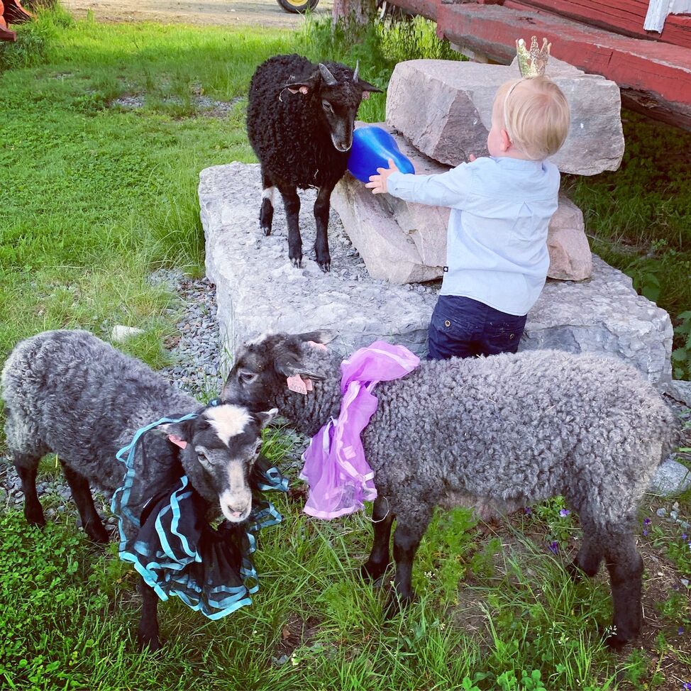 barn lam fest skjørt 