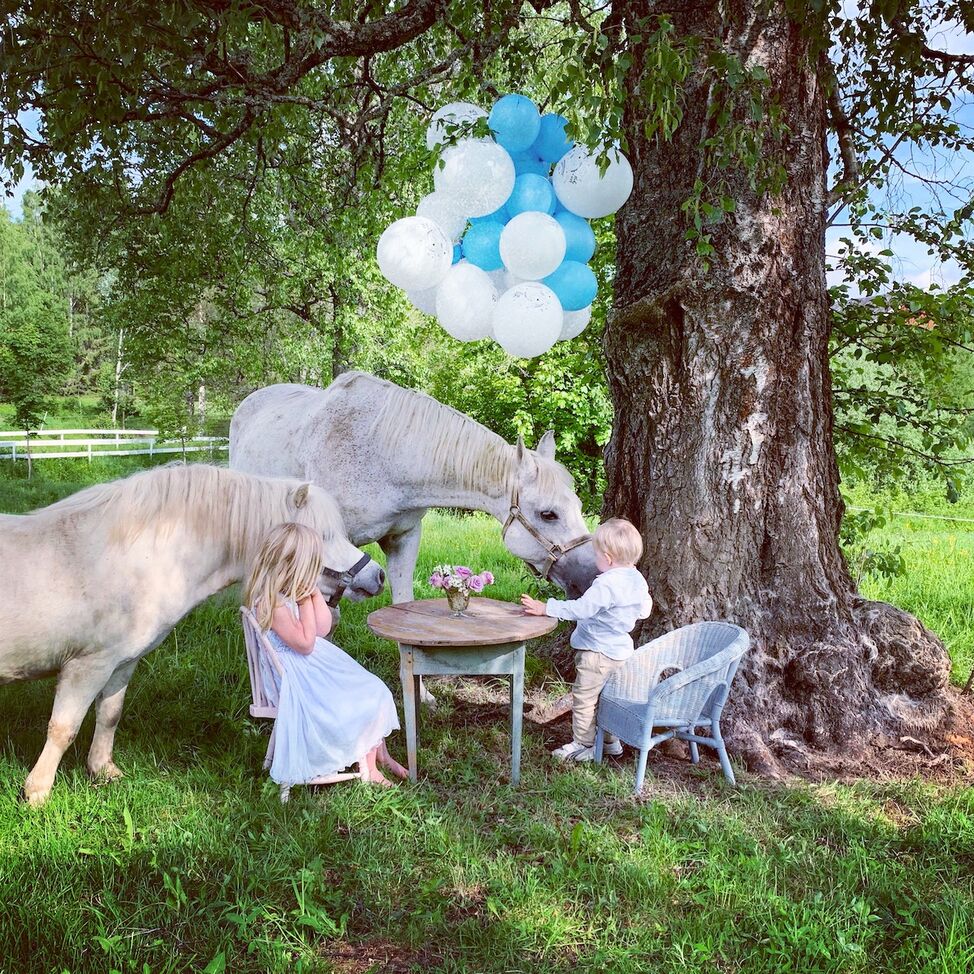 hageselksap ponni hest gutt jente ballonger ute