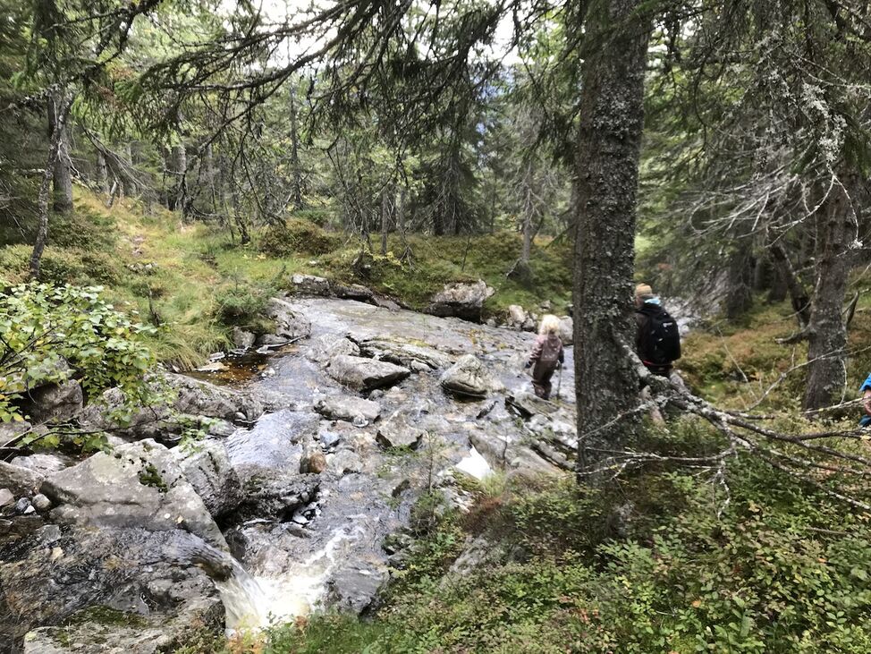 bekk tur natur 