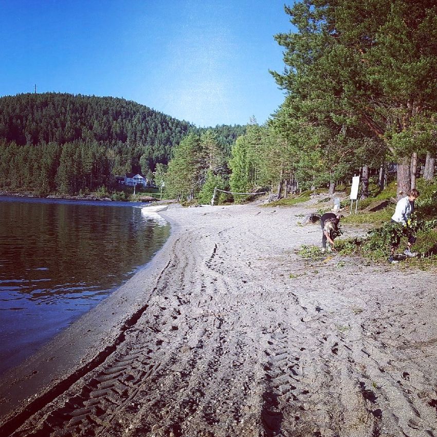 strand 