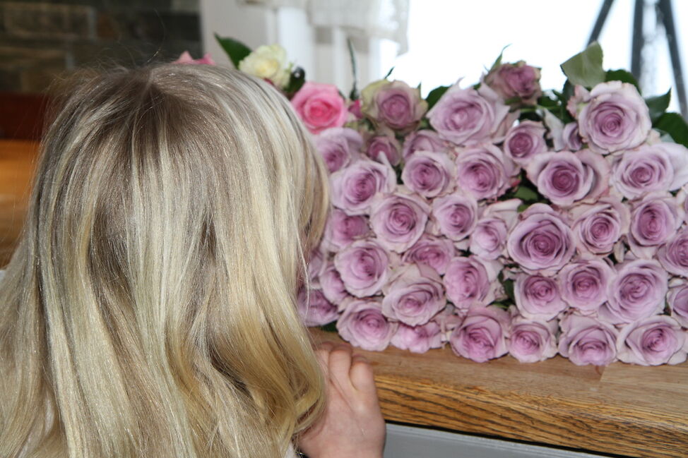 lilla roser burdsdag