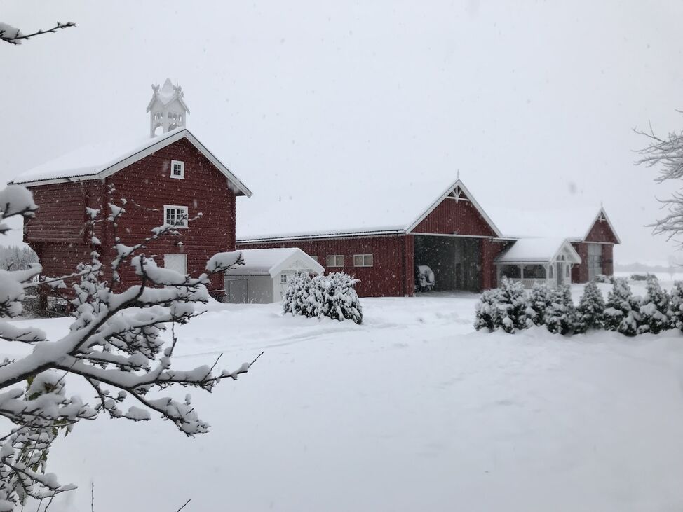 gårdstun sveitserstil