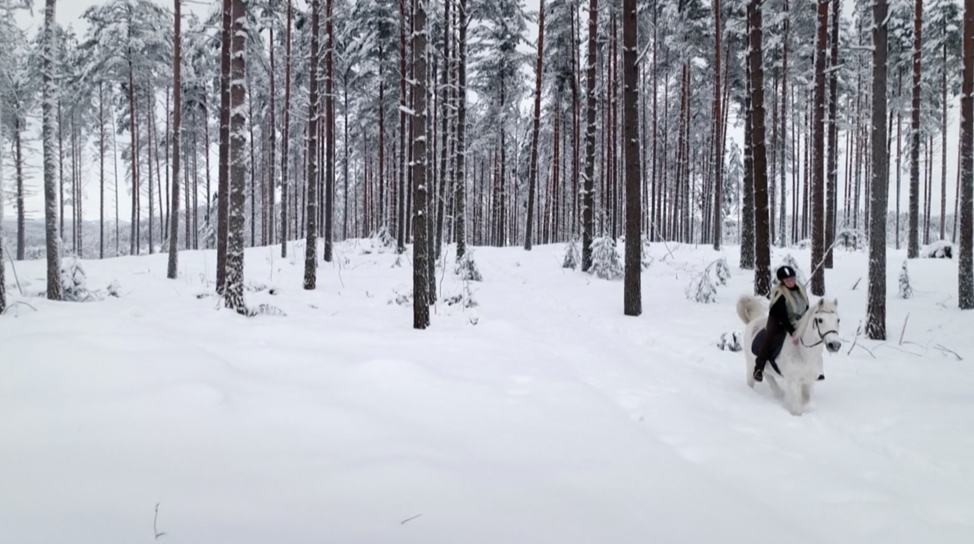 jul askepott live skinnes