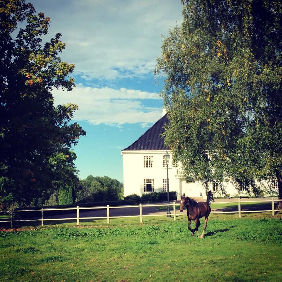 semb hovedgård