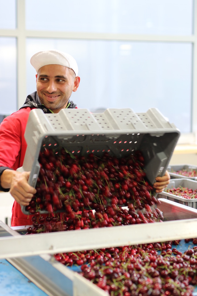 fruktpresser