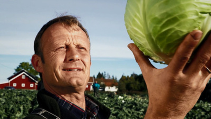 surkål