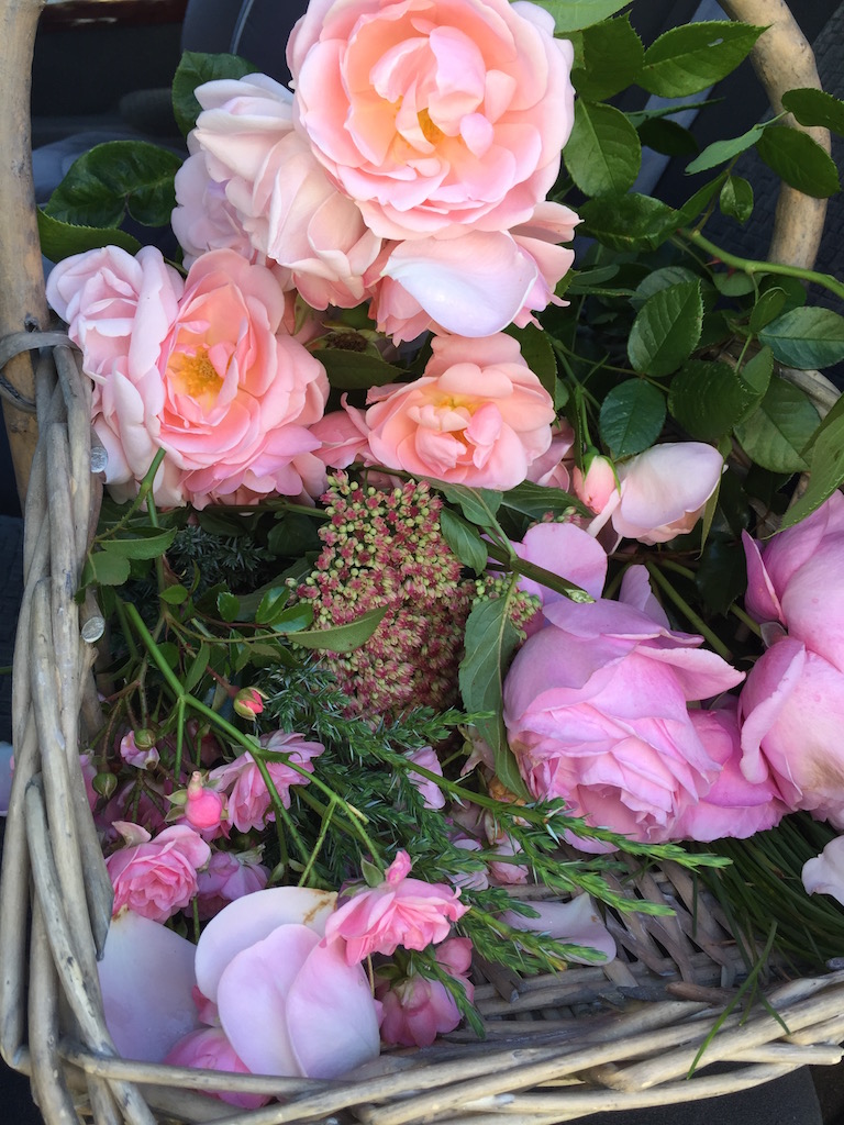 blomster kurv roser 