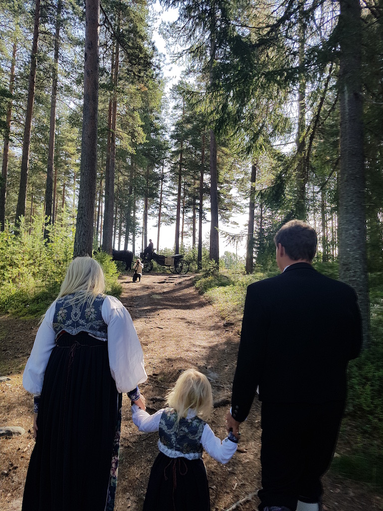hest og vogn skog