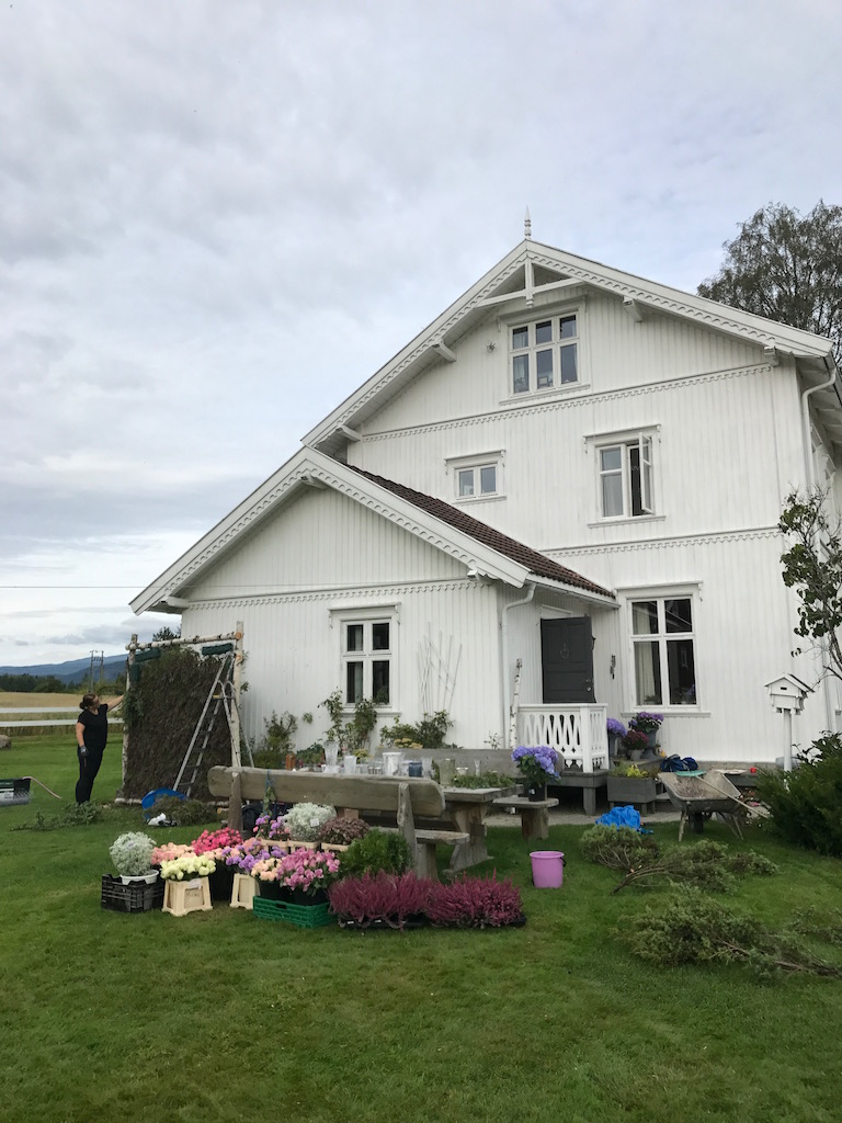 blomster blomstervegg