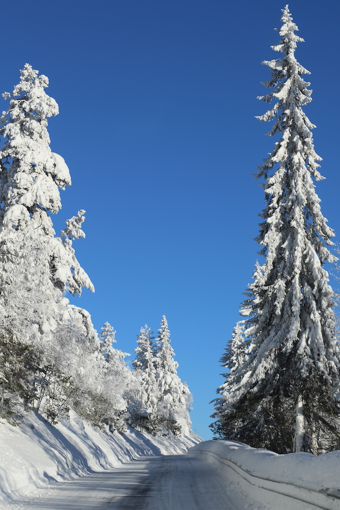 snø 