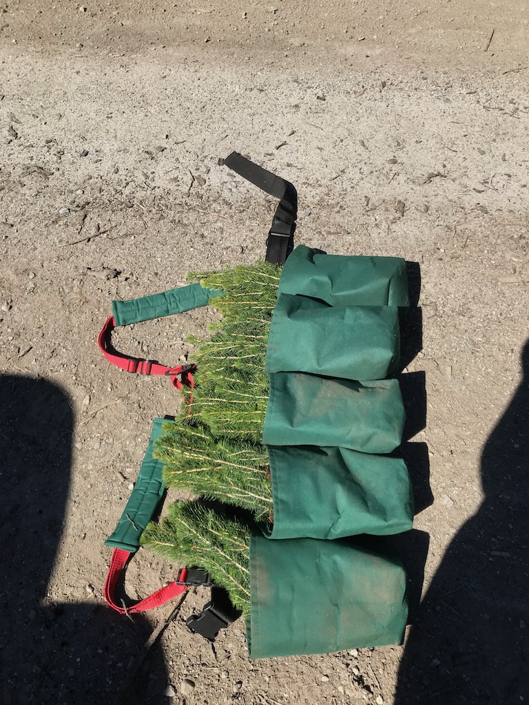 granplanting